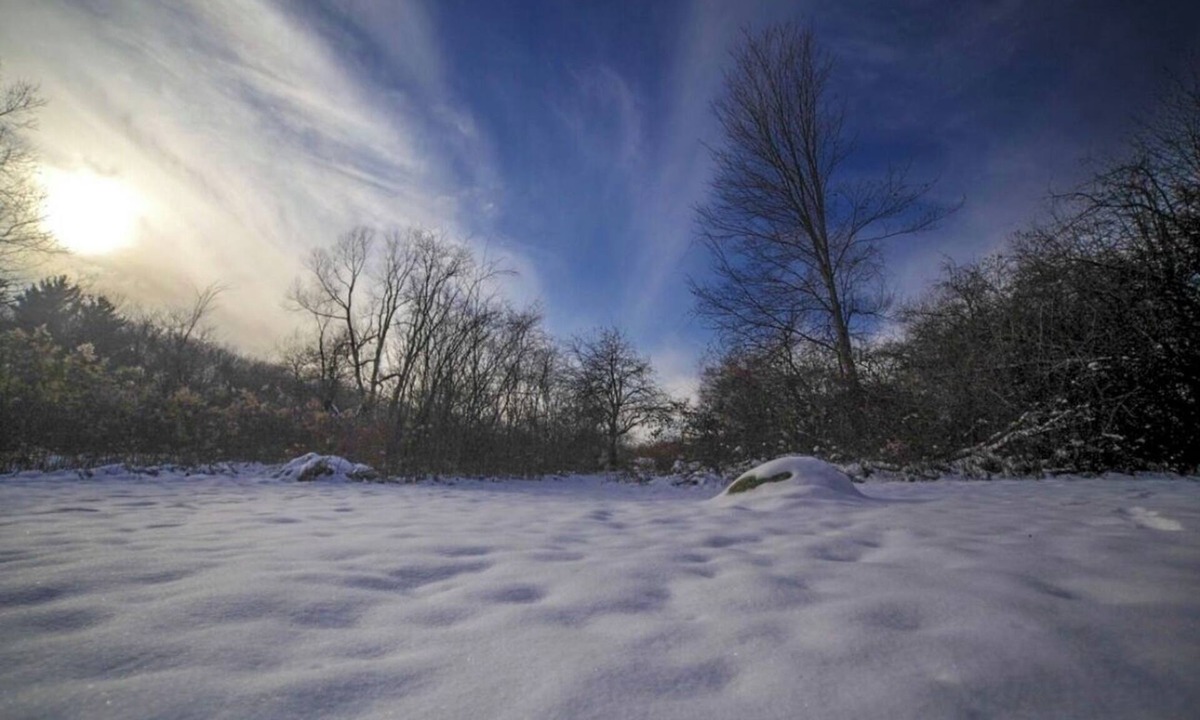 Dorset Cabin | 2 bedroom secluded cabin w hot tub & fireplace on private lake