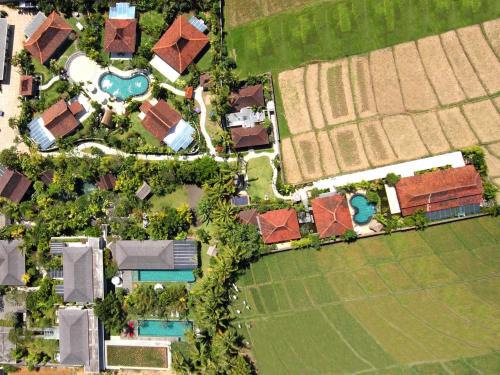 Berawa Villa | Dea Villas