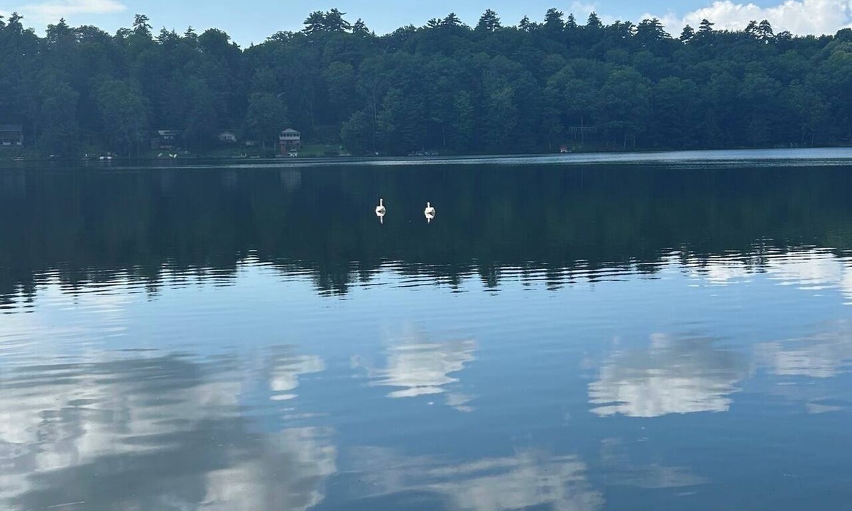 Fort Ann Cabin | Lakefront Rustic 1930s dog friendly Cabin w/lg screened porch near Lake George
