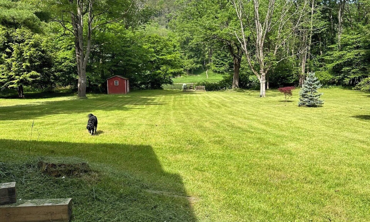Narrowsburg House | Riverfront Cabin Retreat on the Delaware, 5 mins from Narrowsburg, 2hrs from NYC