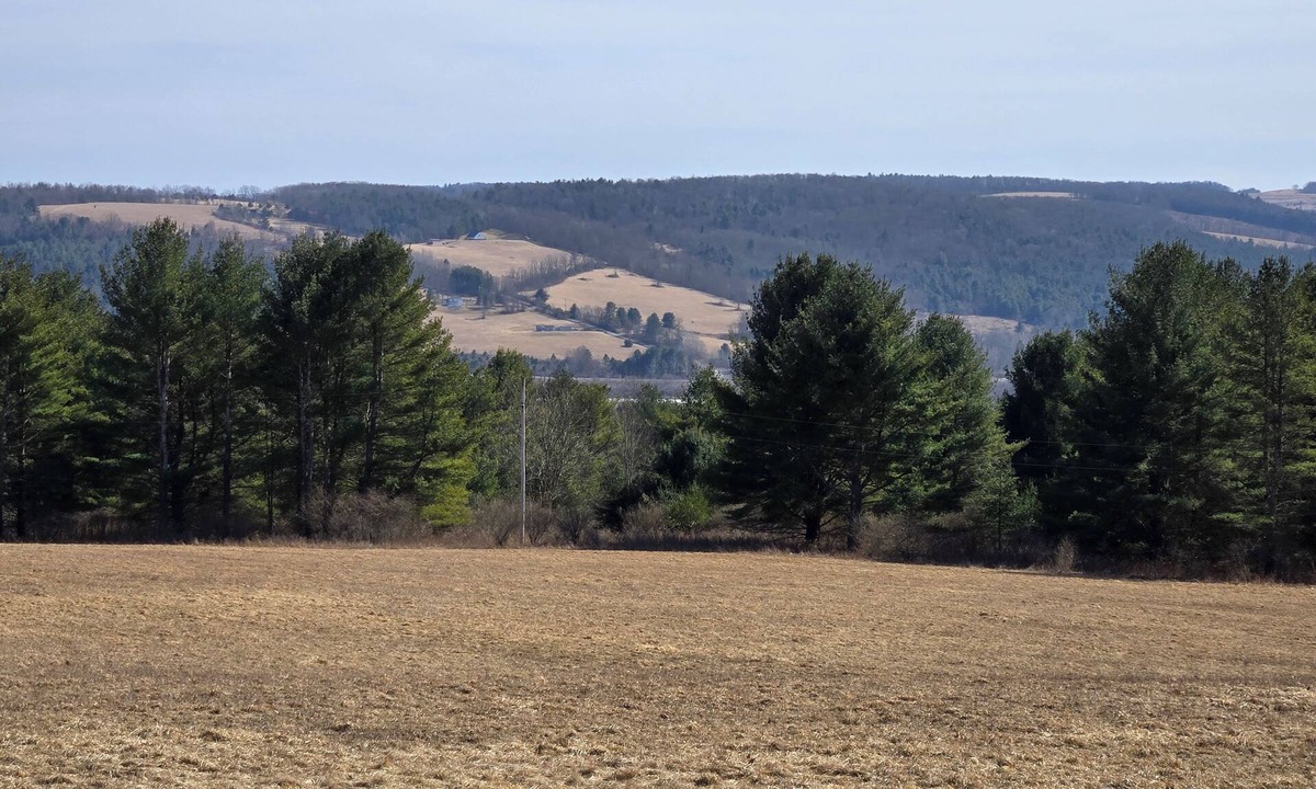 Cowanesque House | Spacious 5-bedroom Rustic country house in welcoming Nelson PA with WiFi
