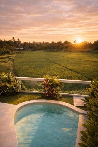 Berawa Villa | Tropical Villa Aurelia Canggu 4 Bedroom & Rooftop