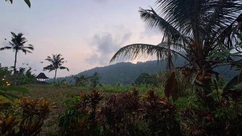 Sidemen Bed & Breakfast | 24 m² Bed and breakfast ∙ 2 guests