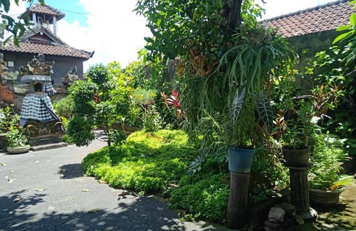 Batuan Bed & Breakfast | 40 m² Bed and breakfast ∙ 6 guests