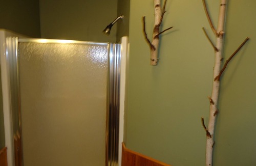 Johnsburg Cabin | 5 Bedroom Pet Friendly House Lake George Region