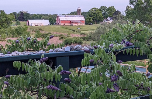 Wallkill House | A Cozy Private Suite Near New Paltz: Farms, Nature, Hiking & Bike the rail trail