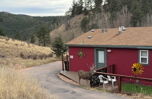 Rainbow Valley Cabin | Cozy cabin. Quiet valley. Hot tub & views. Close to everything CO has to offer.