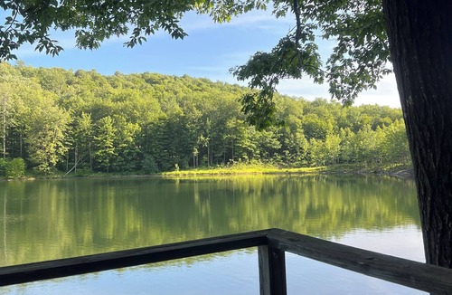 Walton Cabin | Cozy cabin with amazing views of the Catskill Mountains. Pet friendly!