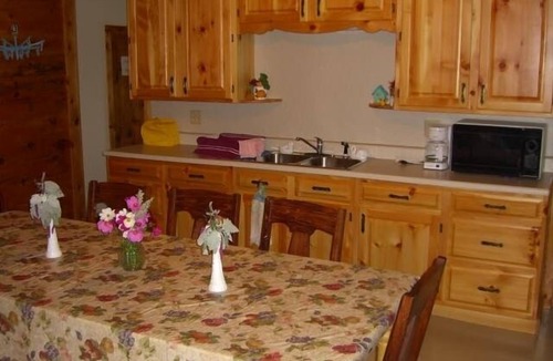 Penn Yan Cabin | Cozy, rustic cabin with beautiful views, privacy, and 1 mile from Keuka Lake