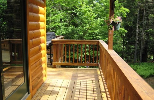 Town of Webb Cabin | Escape & Enjoy a Cozy 3-bedroom cabin in wonderful Old Forge/Winter Season Ava