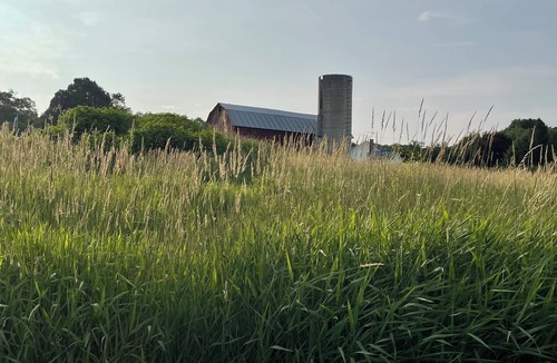 Farmersville Station House | Get away from it all at one of Western New York’s best farm stays.
