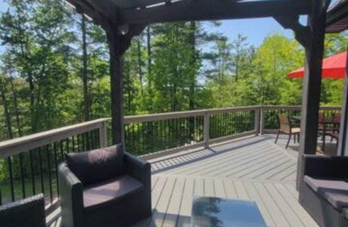 North Blenheim House | Great Spring Deal! Hot Tub, Fish, Hike, Disc Golf or Chill on the Deck!