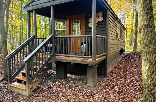 Birch Run Township Cabin | Hidden Oaks | Lodge Cabin | Unit 3