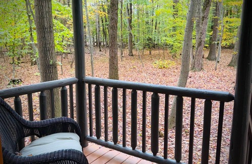 Birch Run Township Cabin | Hidden Oaks | Lodge Cabin | Unit 3