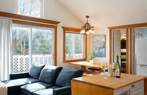 Fleischmanns Ski Chalet | HotTub and 200Mbps WiFi; work from home paradise, Wonderful Belleayre Cabin