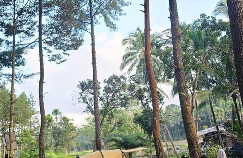 Kajarharjo Other | Kalisawah - Nyaman Camp