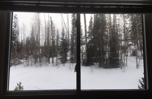 Wildernest Condo | Kick Back in this Family-friendly Retreat with Mountain Views!