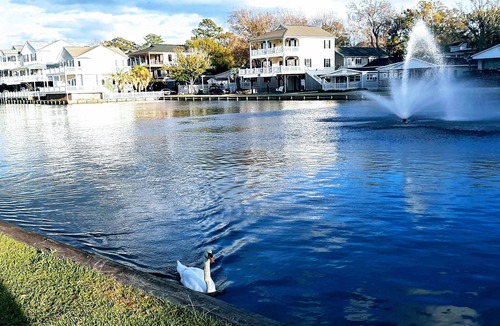 Myrtle Beach House | Lakefront Beach House Free Golf Cart, Bikes & Waterpark!