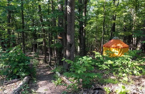 Coeymans Hollow Cabin | Magic Forest Farm Yurt