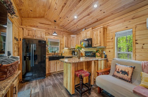 Mentone Cabin | Mentone Tranquility Base with Hot Tub & Outdoor Fireplace | 3+ Acres | Fast WiFi