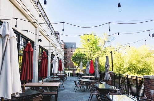 Rochester Hotel | Pet-friendly Accommodation with a Blend of Modern Comfort and Old-World Charm