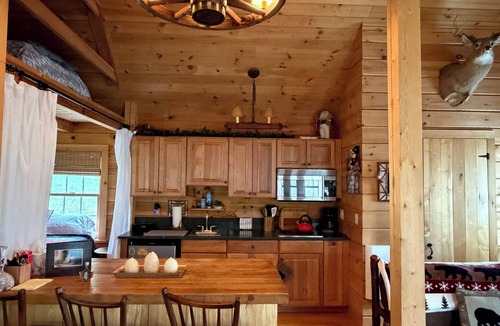 Londonderry Cabin | Private secluded trout cabin- sleeps 2