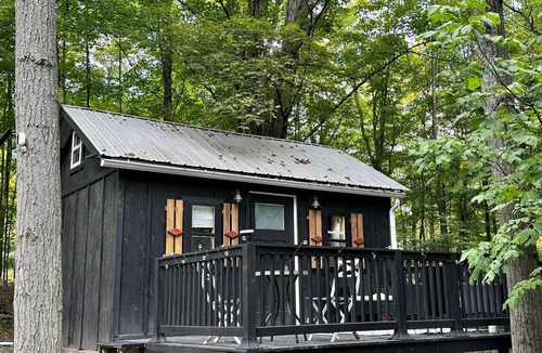 Dushore Cabin | Private Tiny Cabin in Dushore! A Nature Lovers Dream