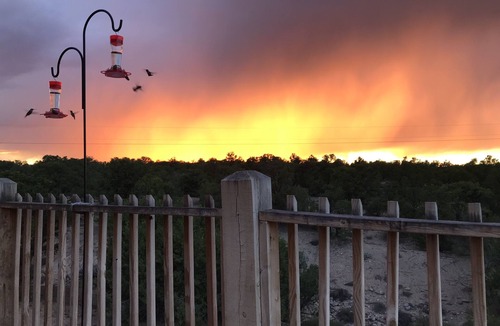 Taos House | Quit & Private nestled in a Pinion and Juniper forest. Monthly rentals only.
