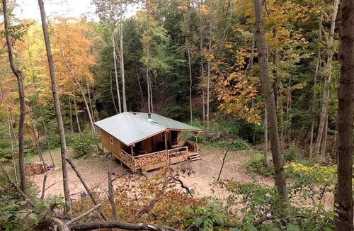 Dalton Cabin | Rustic Creekside Cabin on 100-Acre Forest near Letchworth Park, New York