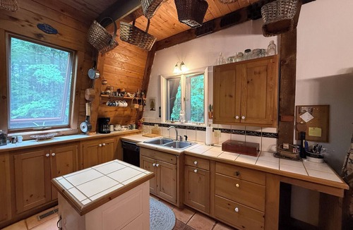 Schroon Lake Cabin | Rustic Pine Lodge - Cozy 4 BR Adirondack Escape