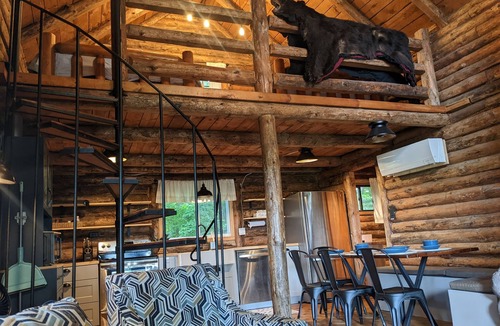 Bear Lake Cabin | Rustic Retreat Log Cabin Nestled Among 65 Acres
