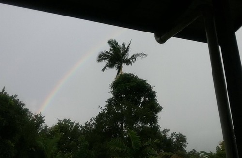 Hakalau Apartment | Spacious suite on twelve acres