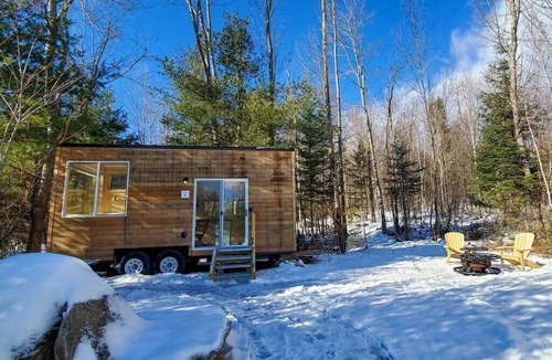 Dorchester Apartment | Trailside Stays - Tiny House in the Woods-Escape to Nature. Robin