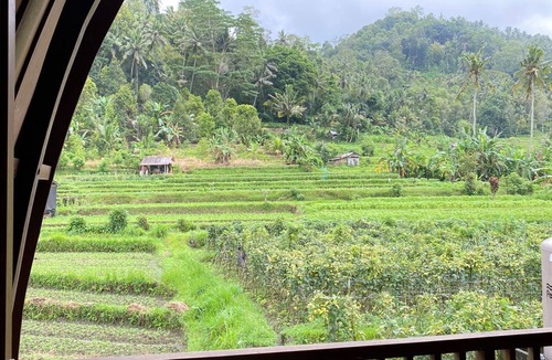 Wisma Kerta Cabin | Villa Anteng with Rice Fields View at Sidemen