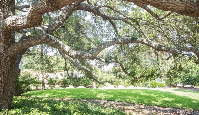 3 BR, 2 BA Charming Elevated House - 1 Block to Beach! Large Screened Porch!