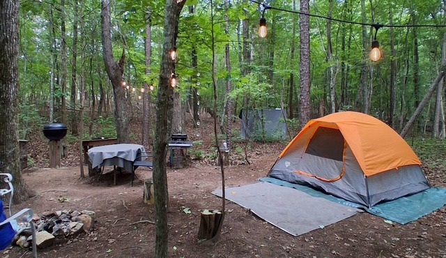 A crackling campfire, a creek & deer outside your tent & we have a nature trail!