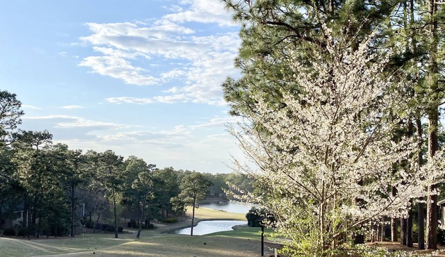 A Golf Front, 3 BR, 2BA, 4beds, Sleep 6 on Pinehurst #6
