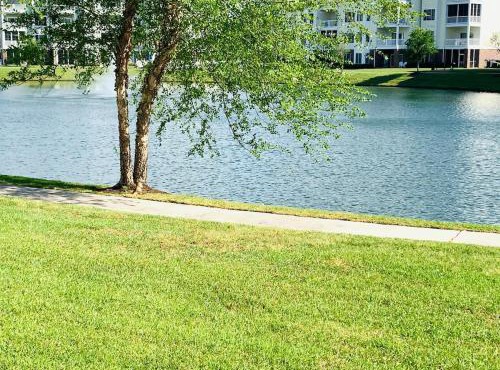 Astonishing view great condo at Myrtlewood Villas