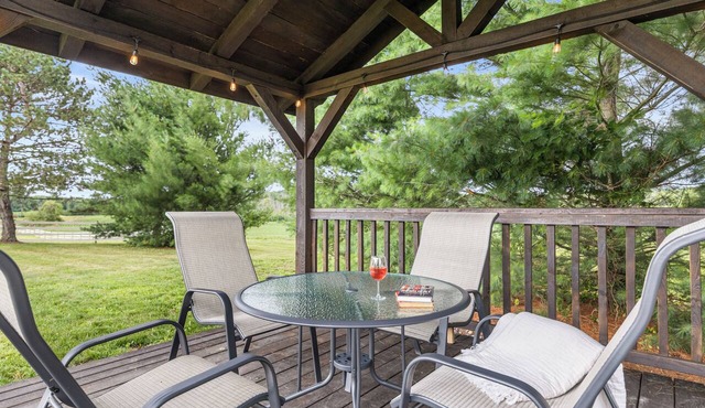 Backyard Fire Ring & Deck w/Grill · Games