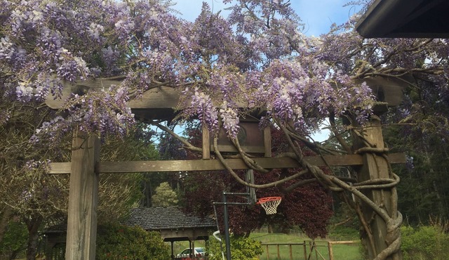 Beautiful Villa Bordering Russian Gulch SP, 2 Mi from Village of Mendocino
