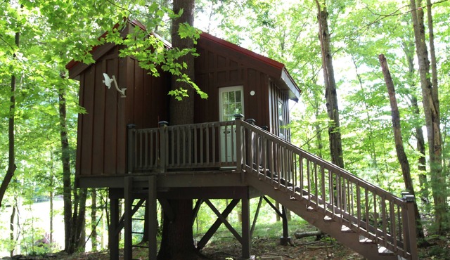 Big Hollow Board and Batten House with Nerf Treehouse!