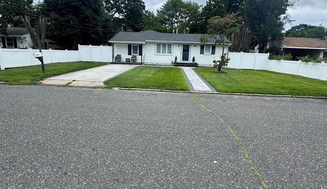 Bright & Comfortable Home in the Heart of It All