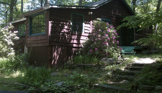 Charming Cabin With Rushing Stream In Backyard For Peaceful Retreat