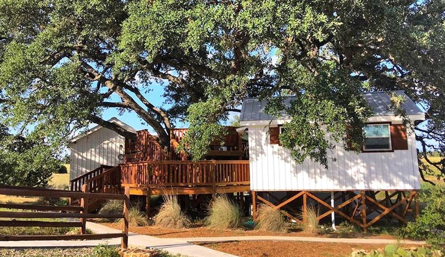 Charming Texas Tree House with Tranquil Views Ideal for Glamping near Austin