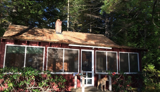 Charming Waterfront Cabin with Mountain View and Private Beach Access!