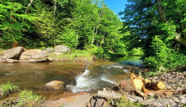 Close to skiing in Windham and Hunter, hiking, lakes, 20+restaurants