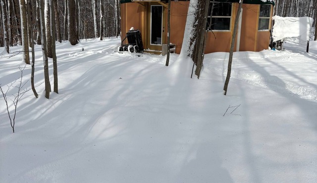 Come visit our magical yurt. Nestled in the woods.
