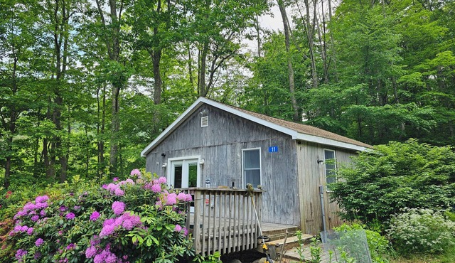 Cozy 2-bedroom cabin in charming Shandaken with WiFi, AC
