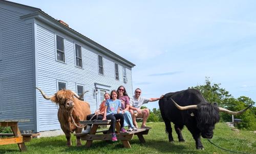 Cozy Highland Cattle-View Suite Peaceful, Private Pet-Friendly