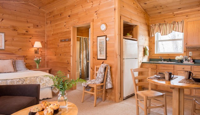 Cozy Studio Cabin near Smuggler's Notch